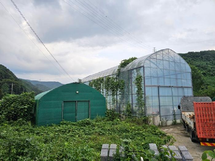 2025타경31061 경매 물건 대표 사진