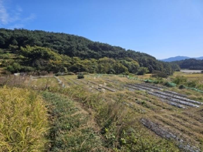 2025타경31242 경매 물건 대표 사진