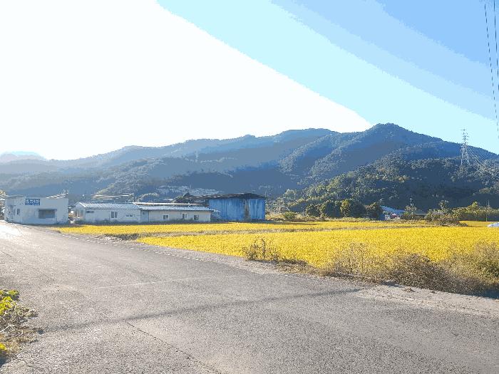 2025타경31296 진주지원 다세대 법원경매 사진
