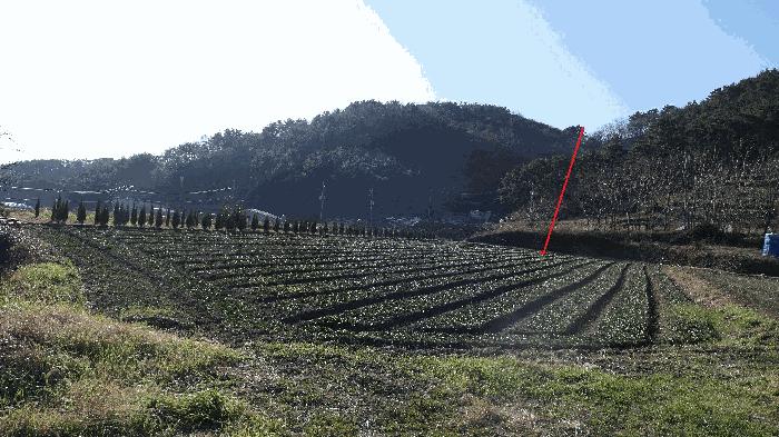 2025타경31446 경매 물건 대표 사진