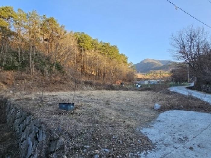 2025타경494 경매 물건 대표 사진