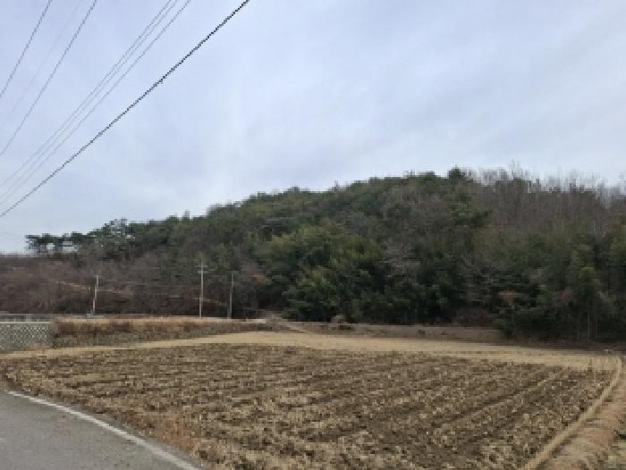 2025타경503 경매 물건 대표 사진