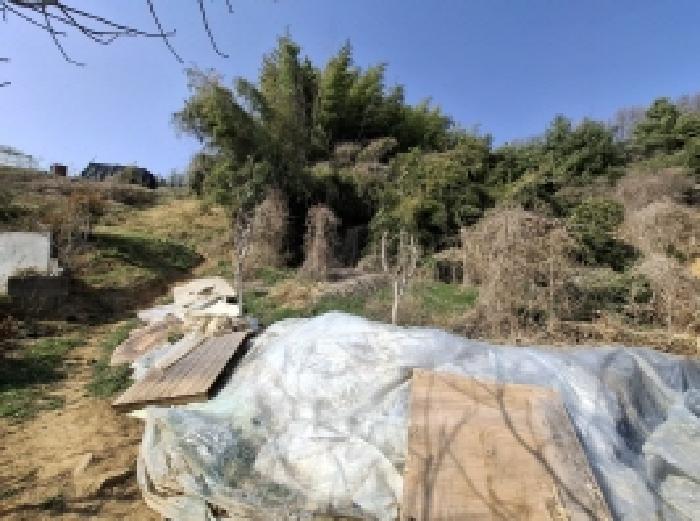 2025타경587 경매 물건 대표 사진