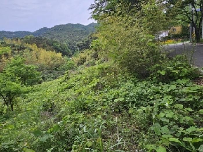 2025타경664 진주지원 임야 법원경매 사진