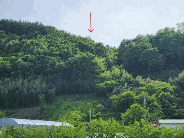 2025타경666 경매 물건 대표 사진