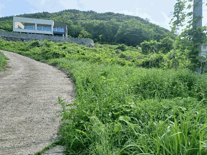 2025타경693 경매 물건 대표 사진