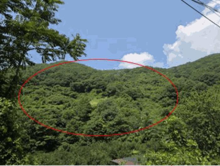 2025타경775 경매 물건 대표 사진