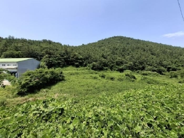 2025타경792 경매 물건 대표 사진