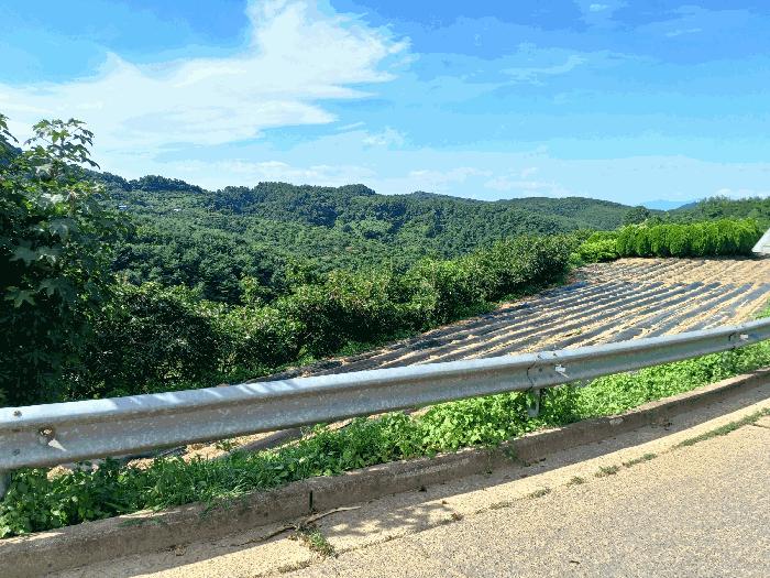 2025타경828 경매 물건 대표 사진