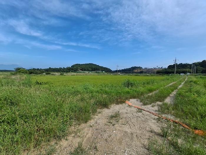 2025타경879 경매 물건 대표 사진