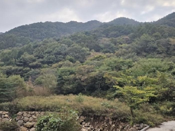 2025타경890 경매 물건 대표 사진