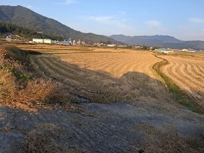 2025타경983 경매 물건 대표 사진