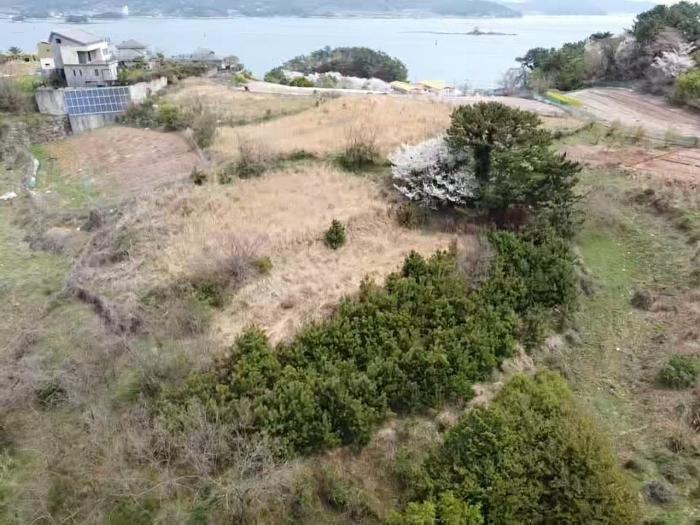 2024타경22100 경매 물건 대표 사진