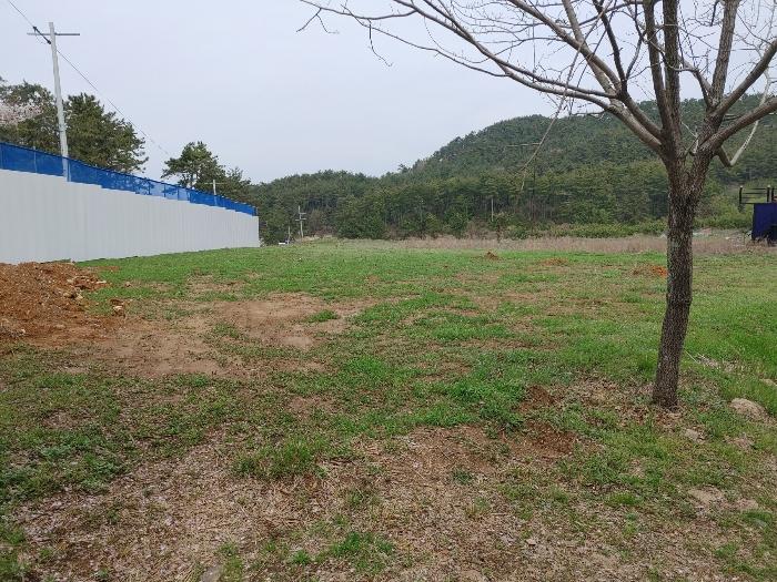 2024타경23295 경매 물건 대표 사진
