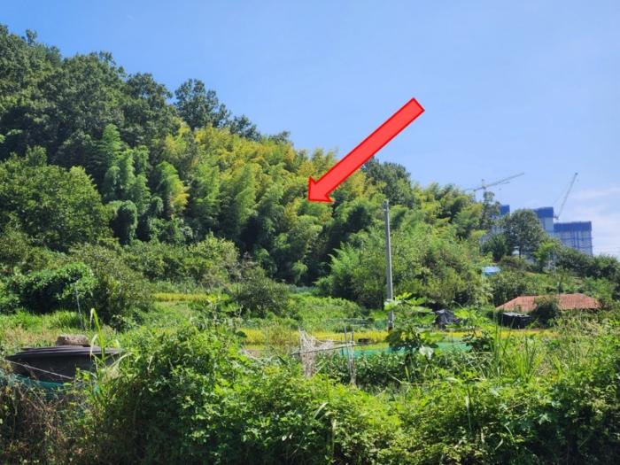 2024타경28597 경매 물건 대표 사진