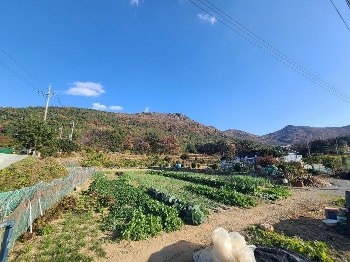 2024타경29385 경매 물건 대표 사진