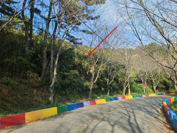 2024타경31173 경매 물건 대표 사진