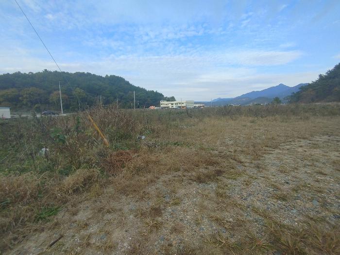 2024타경31579 경매 물건 대표 사진