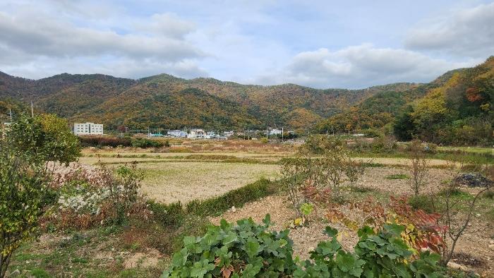 2024타경31784 경매 물건 대표 사진