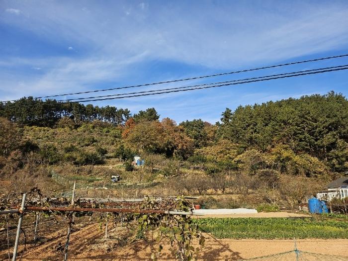2024타경32367 경매 물건 대표 사진