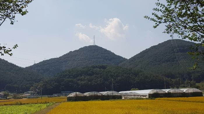 2024타경4300 경매 물건 대표 사진