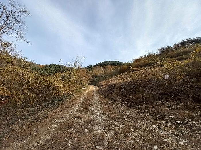 2024타경5228 경매 물건 대표 사진