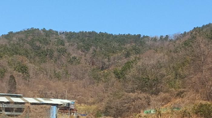 2025타경21068 경매 물건 대표 사진