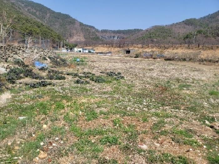 2025타경21069 경매 물건 대표 사진