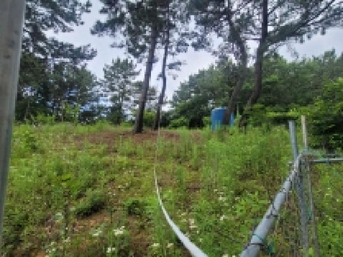2025타경21374 경매 물건 대표 사진