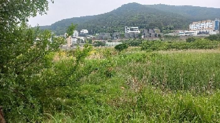 2025타경21430 경매 물건 대표 사진