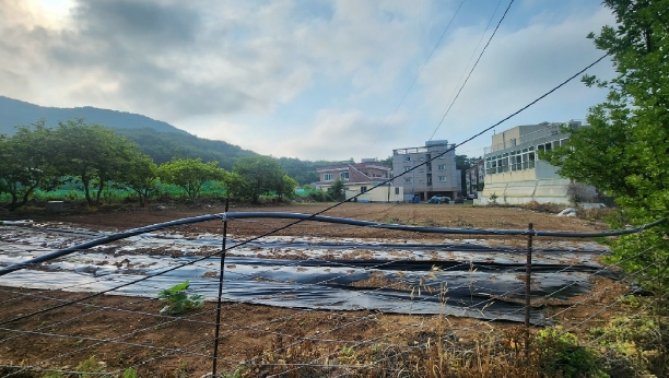 2025타경21439 경매 물건 대표 사진
