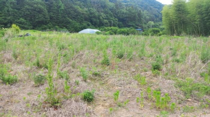 2025타경21456 경매 물건 대표 사진