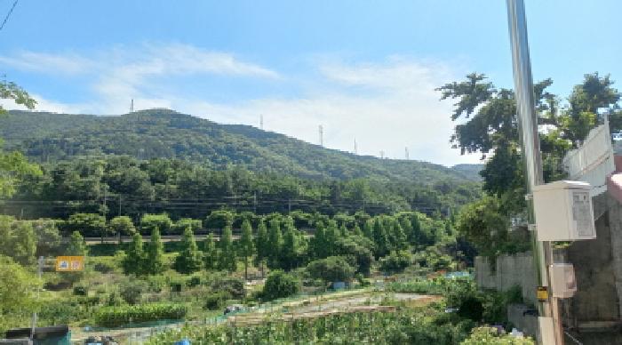 2025타경21529 통영지원 임야 법원경매 사진