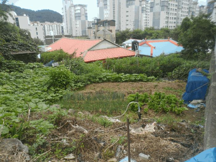 2025타경21683 경매 물건 대표 사진