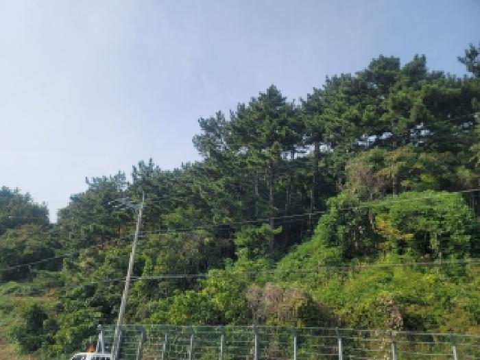 2025타경21735 경매 물건 대표 사진