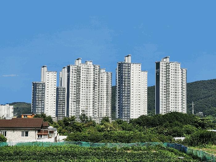 2025타경21767 경매 물건 대표 사진