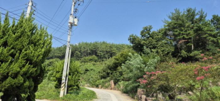 2025타경21783 경매 물건 대표 사진