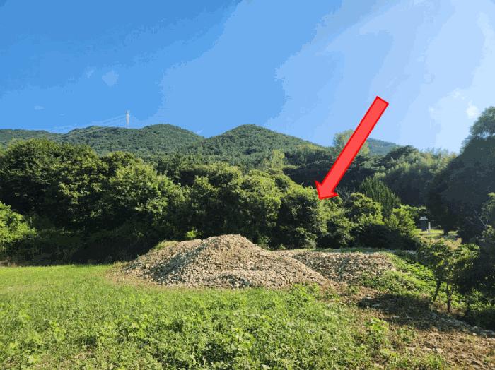2025타경21802 경매 물건 대표 사진