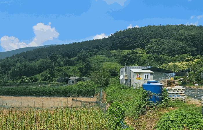 2025타경21833 경매 물건 대표 사진