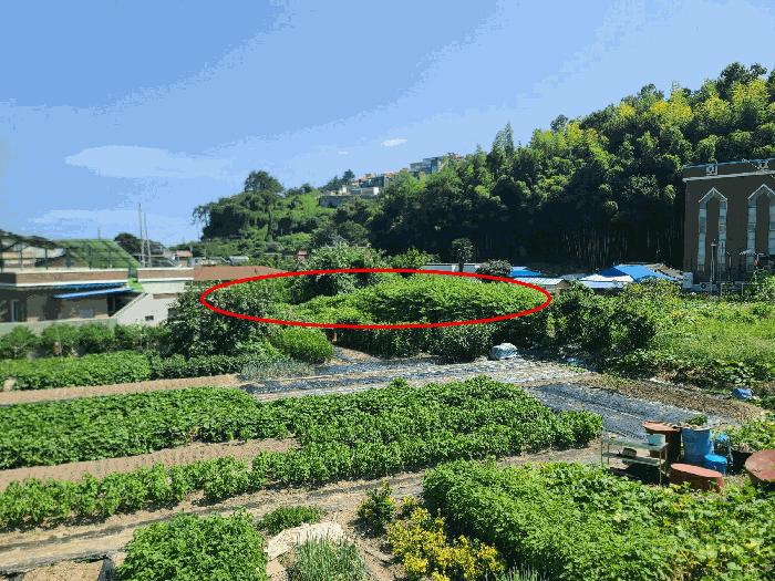 2025타경21873 경매 물건 대표 사진