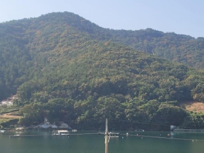 2025타경21880 경매 물건 대표 사진