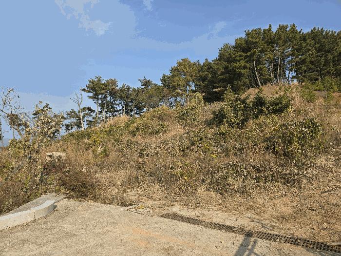 2025타경22281 경매 물건 대표 사진