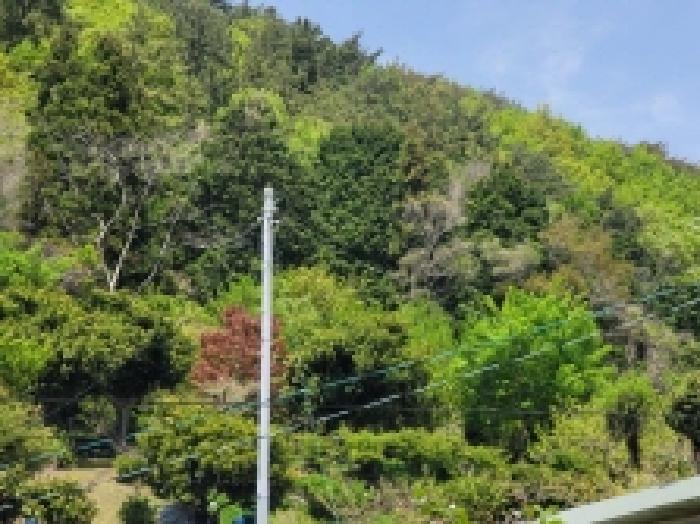 2025타경367 경매 물건 대표 사진