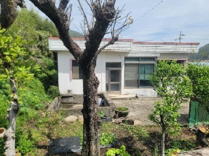 2025타경441 경매 물건 대표 사진