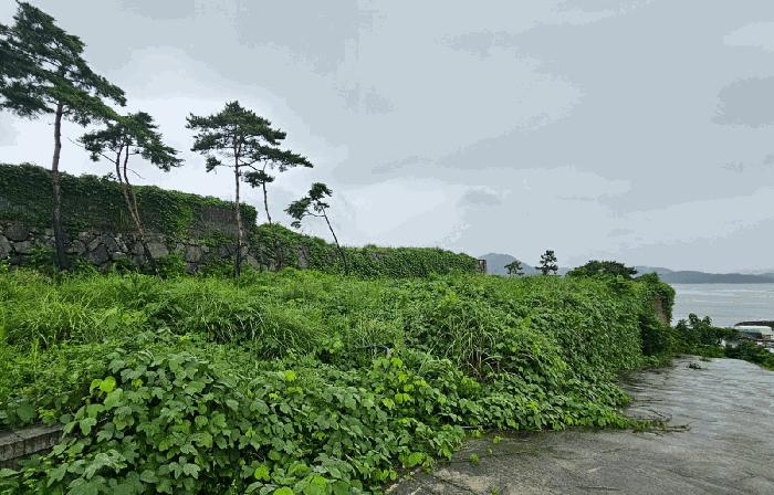 2025타경557 경매 물건 대표 사진