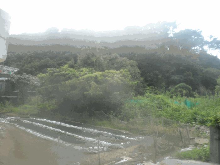 2025타경591 경매 물건 대표 사진