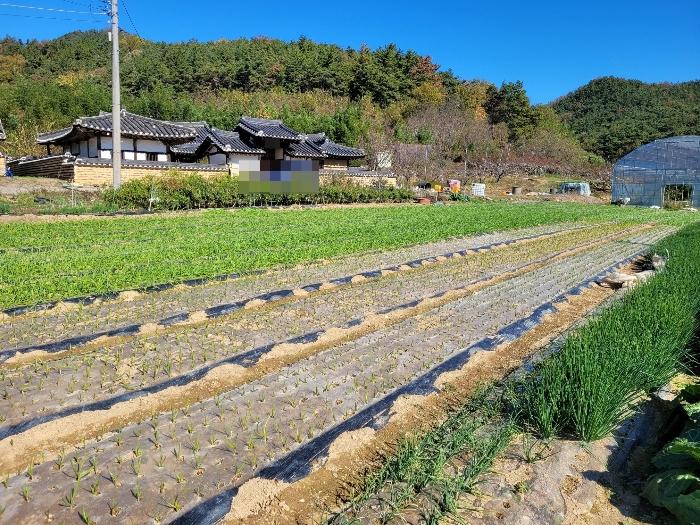 2023타경2157 경매 물건 대표 사진