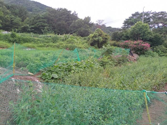 2024타경11677 경매 물건 대표 사진