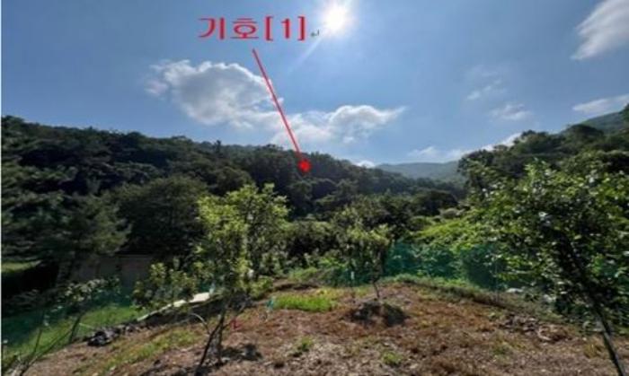 2024타경12007 경매 물건 대표 사진
