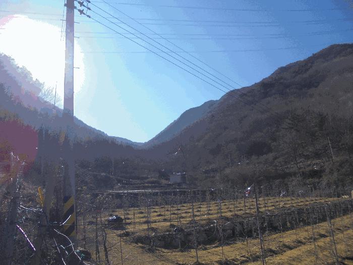 2024타경2642 경매 물건 대표 사진